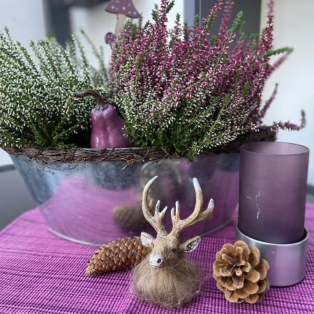 Ladigo „Kleines Glueck“ Apartment กอสลาร์ ภายนอก รูปภาพ